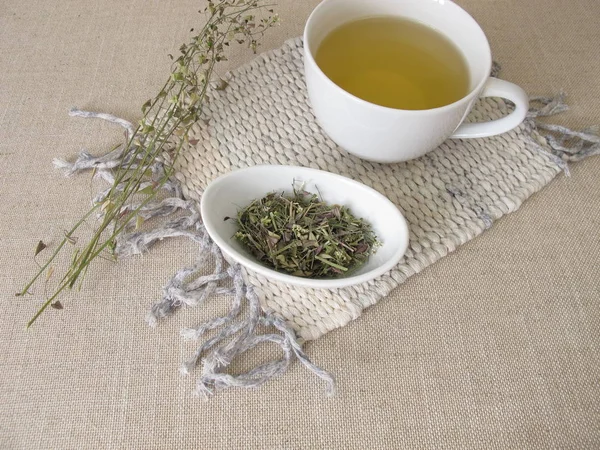 Shepherds Purse Herbal Tea Dried Herbs — Stock Photo, Image