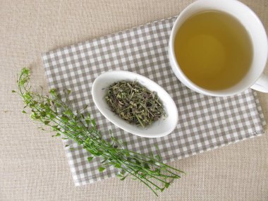 Bir bardak çoban çantası bitkisel çay.