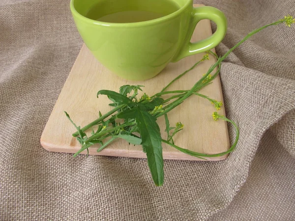 Una Tazza Con Senape Siepe — Foto Stock