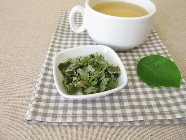 Ayva Yaprağı Çayı Kurutulmuş Ayva Yapraklı Çay — Stok fotoğraf