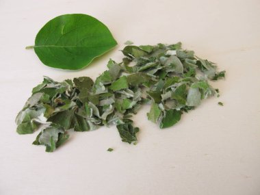 Kurumuş bıldırcın yaprağı yaprağı çayı için ahşap bir tahtada