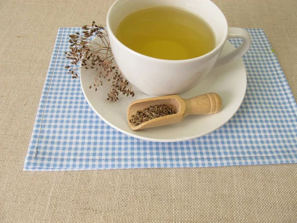 一杯用菊花籽制成的草药茶 — 图库照片