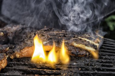 ızgara üzerinde yanmış gıda