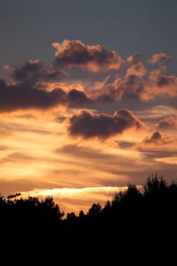Gün batımında ağaçların silueti gökyüzüne karşı dizilmiş.