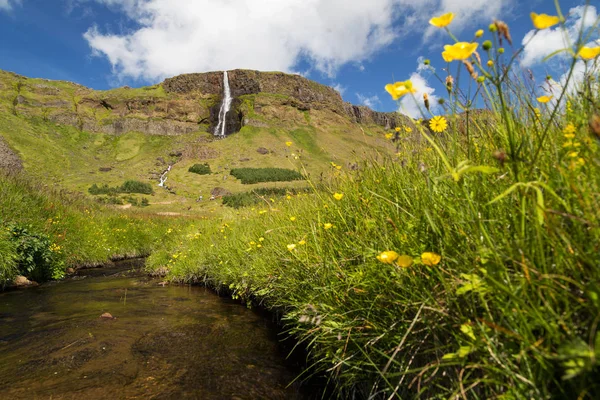 Islandský letní den — Stock fotografie