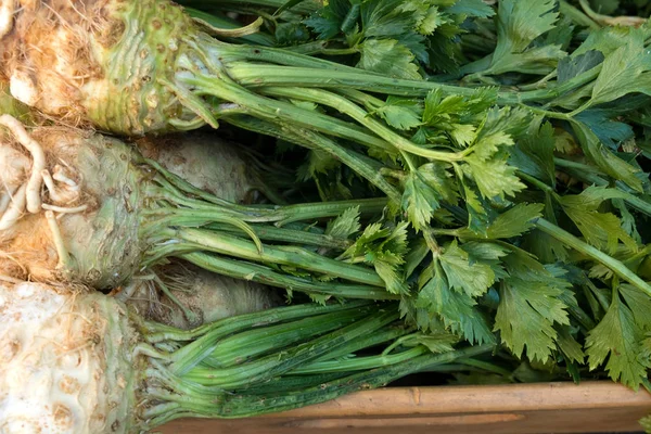 Légumes Racines Céleri Frais Dans Des Boîtes Marché Fermier Après — Photo