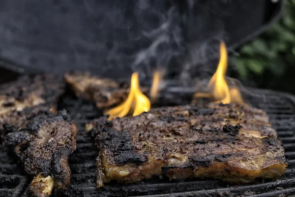 Trozos Carne Barbacoa Llamas Presentes Alrededor —  Fotos de Stock