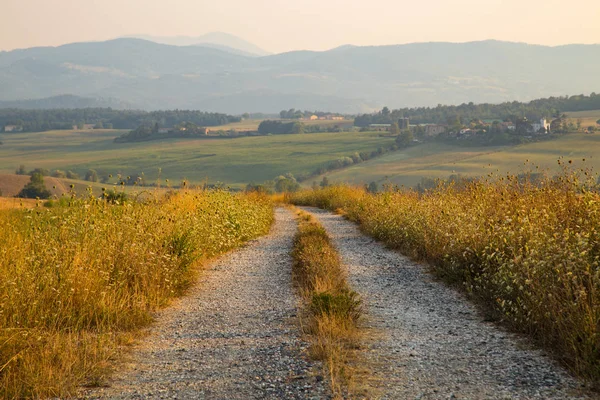 Tuscany countryside road — Stock Photo, Image