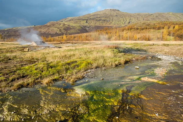 Haukadalur İzlanda'daki Geysir alan