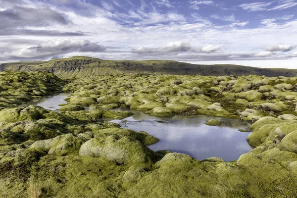 Flood water pooling in a moss grown lava field in icelan — Stock Photo, Image