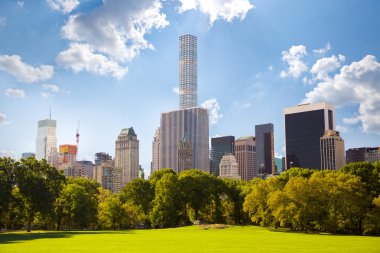 Central park ve manhattan skyline