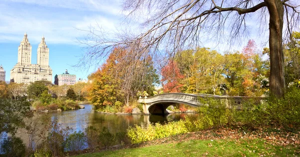 NYC Central Park panorama — Stockfoto