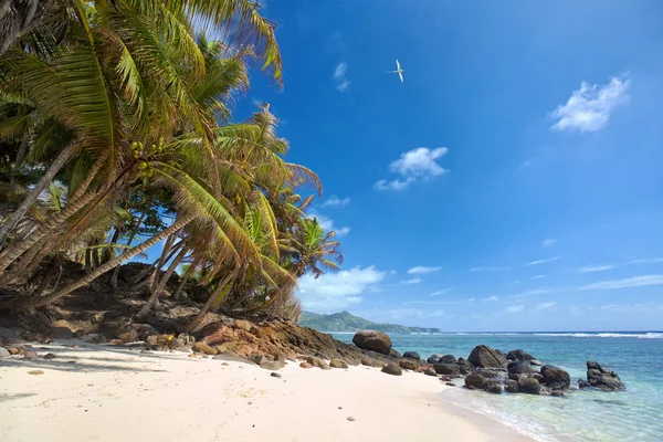 Playa tropical de Seychelles —  Fotos de Stock