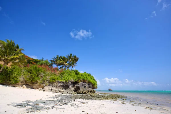 Zanzibar içinde tropikal plaj — Stok fotoğraf