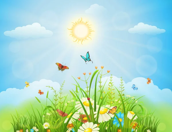 Prairie d'été ou de printemps — Image vectorielle