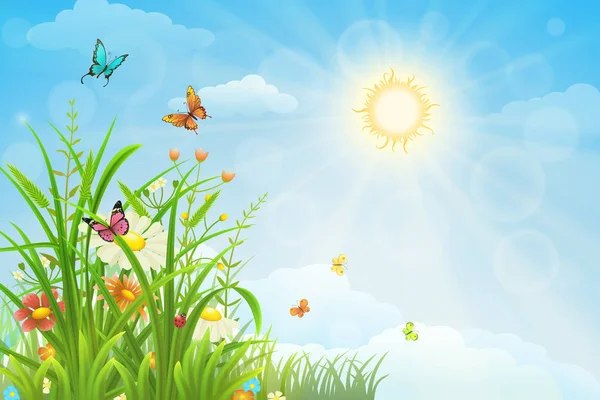 Sunny summer background — Stock Vector