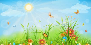 Yaz çayır arka plan