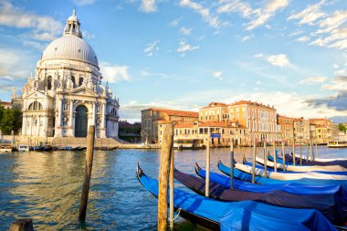 canal Grande ve basilica santa maria della salute