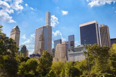 Central park ve manhattan skyline
