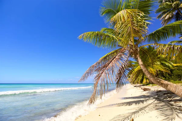 Tropická pláž s pískem — Stock fotografie
