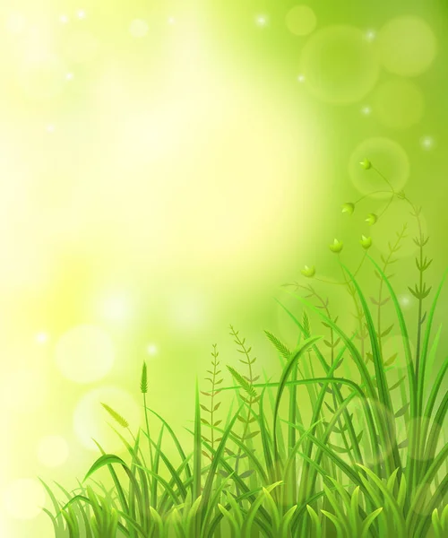 Green meadow background — Stock Vector