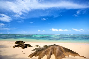 Anse Source d 'Argent plajı granit kayalıklı, La Digue Adası, Seyshelles