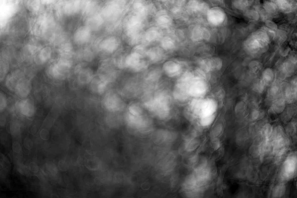 Bokeh blanco y negro —  Fotos de Stock