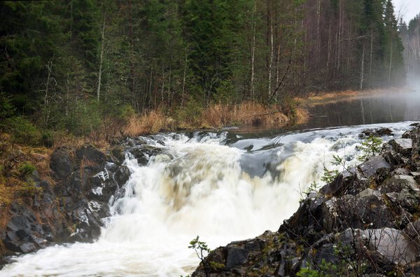 Waterfall in the forest