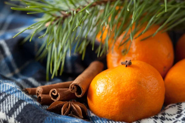 Mandalina ve tarçın — Stok fotoğraf