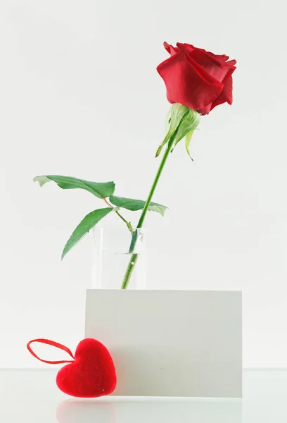 Rose and a note — Stock Photo, Image