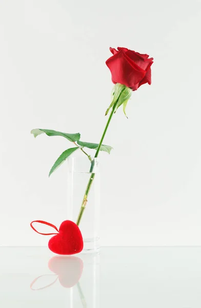 Роза і серце — стокове фото