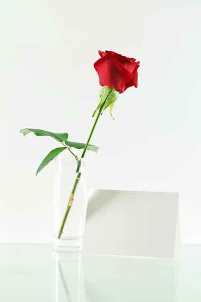 Троянди та примітки — стокове фото