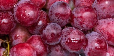 Kırmızı üzümlü meyveler yakın plan.