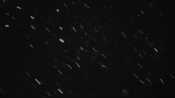 Fast flying heavy snow at night. blizzard against the black sky — Wideo stockowe