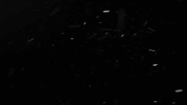 Rápido voando neve pesada à noite. nevasca contra o céu negro — Vídeo de Stock