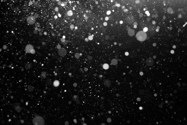 Hermosa Nieve Pesada Volando Sobre Fondo Negro Noche —  Fotos de Stock