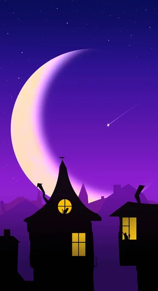 Beautiful Fabulous Roofs Houses Silhouettes Windows Backdrop Big Month Stars — Stock Photo, Image