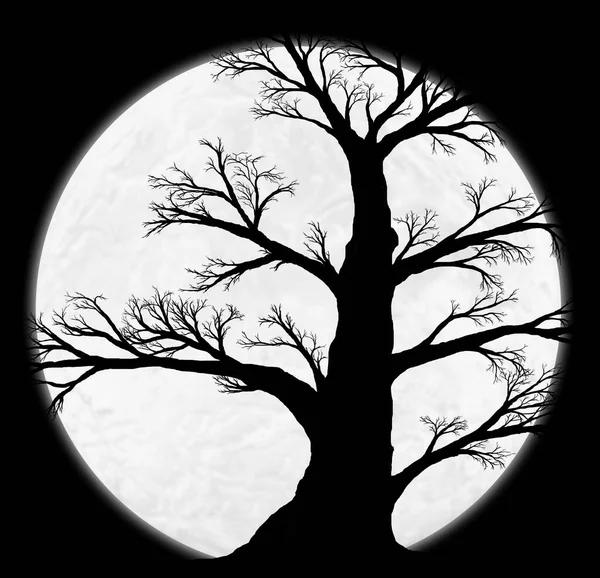 Όμορφη Μαύρη Σιλουέτα Ενός Παλιού Μεγάλου Δέντρου Στο Φόντο Του — Φωτογραφία Αρχείου