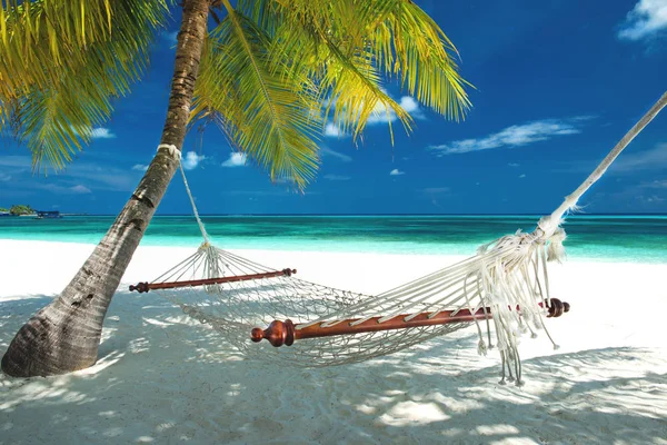 Playa tropical en las maldivas —  Fotos de Stock
