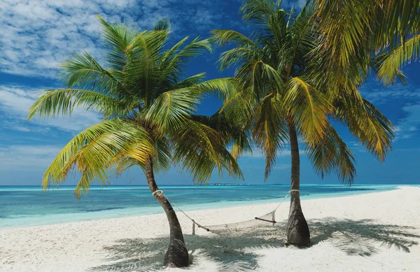 Amaca da spiaggia sulle maldive — Foto Stock