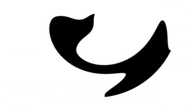 Soyut Dalga Maskesi Canlandırma Mercek Bozukluğunu Sualtı Sebep Şekilleri Döngüsü