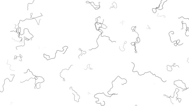 Τυχαία Walk Algorithm Scribble Frame Μερική Πλήρωση Animation — Αρχείο Βίντεο