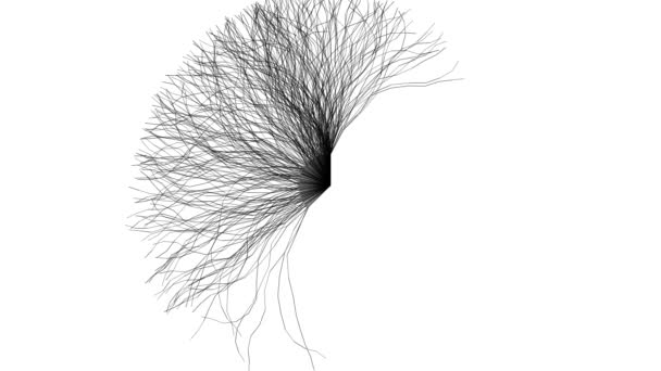 Randomly Drawn Branching Circular Tree Pattern Circle Mask — Stock Video