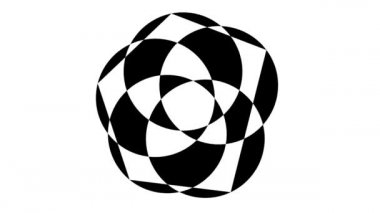 Seçkin Özel Venn Üst Kaplama Çemberleri Maskeli Çiçek Tasarımı