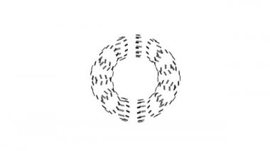 İlginç 3d Siber Torus 3d Canlandırılmış Maskeli Spinner