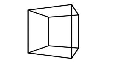 Küp Dönüşünün Basit Maskesi Geri ve İleri Sonsuz Döngü