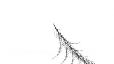 Çizgiler Soyut Matematiksel Şubelere ve Sonsuz Döngüye Dönüşüyor