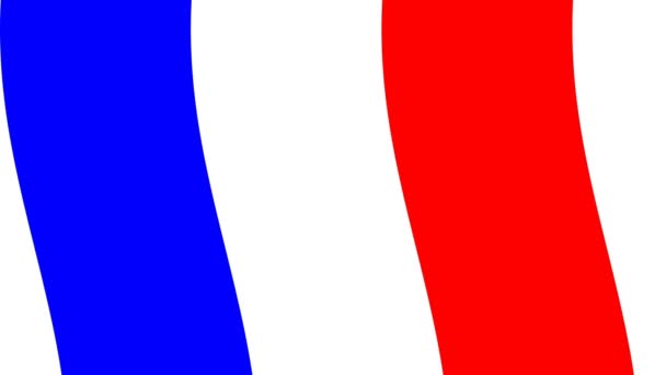 Цикл Французских Линий Флага Простая Колеблющаяся Колеблющаяся Анимационная Петля — стоковое видео