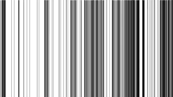Verticale Streepjes Barcode Lijnen Willekeurig Tekenen Frame Masker — Stockvideo