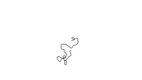 Drawing Random Walk Pattern Frame — Stock Video
